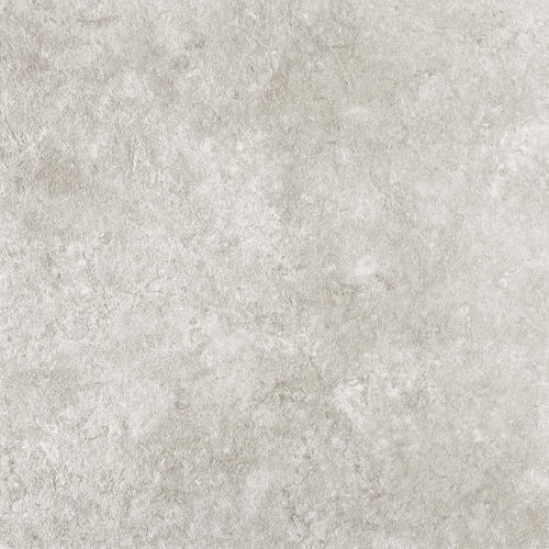 grey body spotted LONGFAVOR light grey tiles