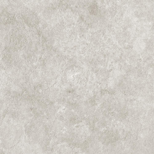 grey body spotted LONGFAVOR light grey tiles