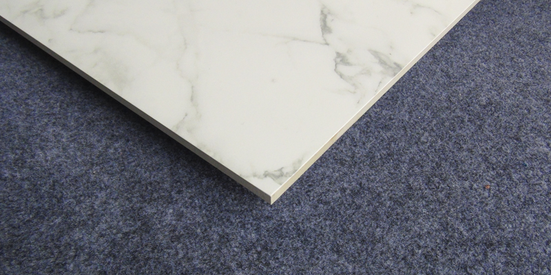 LONGFAVOR new design white porcelain tile hardness School-11